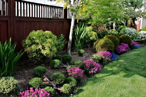 Common Gardening Issues in Bedford, MA